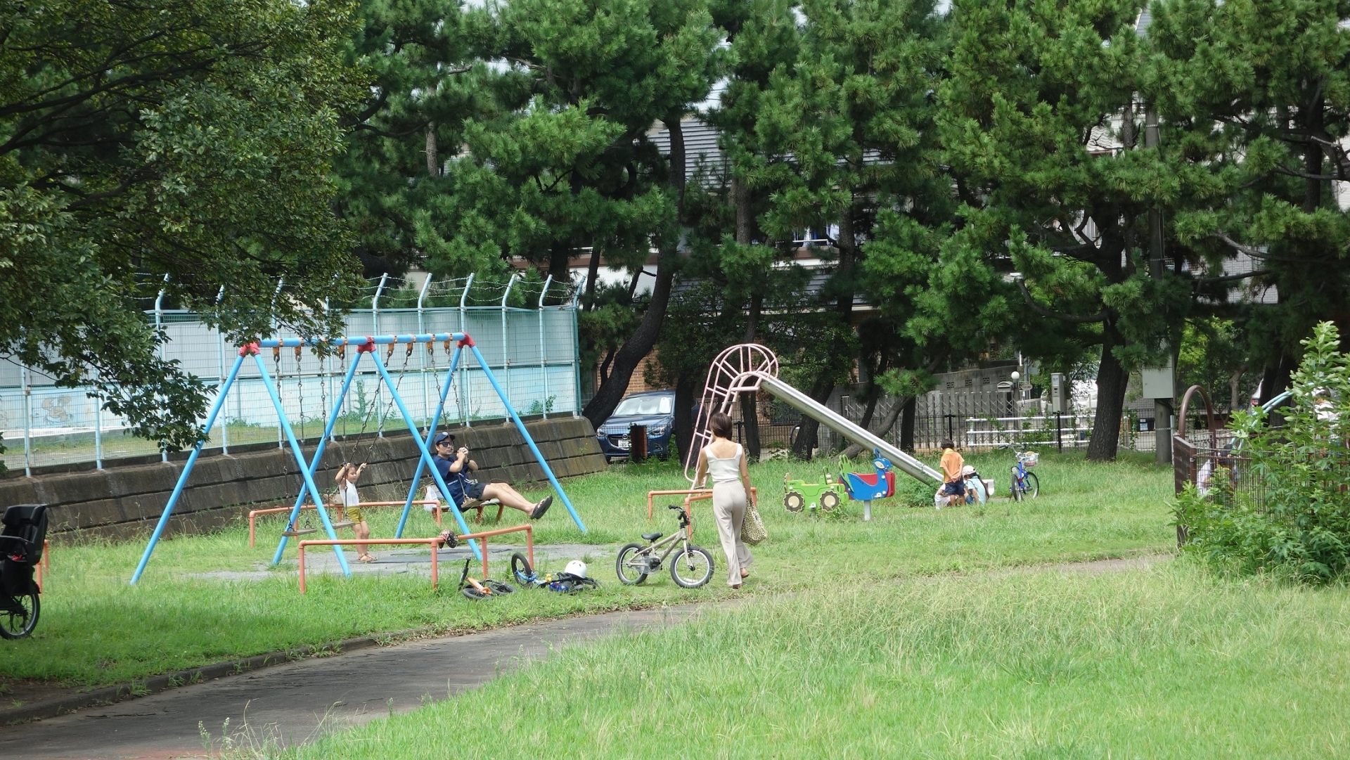 湘南 海岸 公園