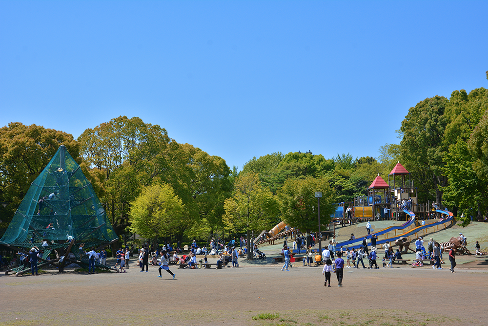平塚 市 総合 公園