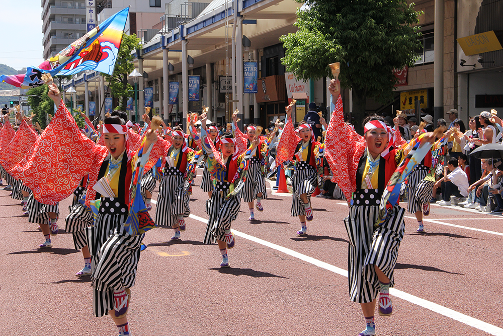 湘南よさこい祭り