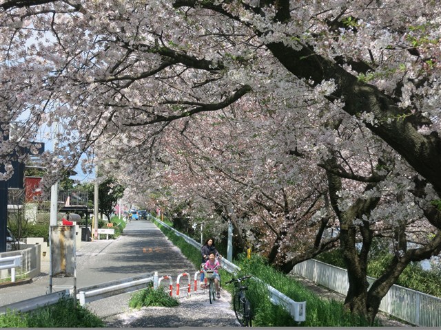 花水川