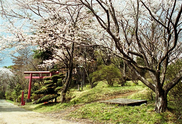 愛宕山公園