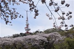 平塚八景