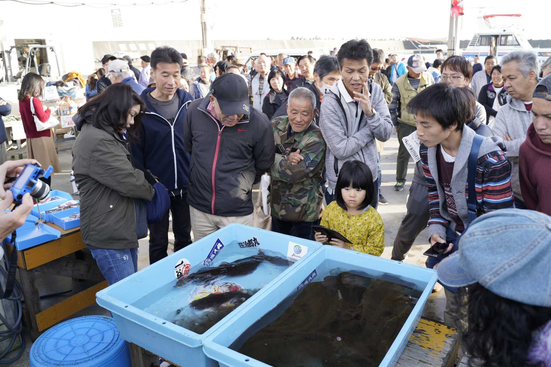 湘南ひらつか地どれ魚直売会