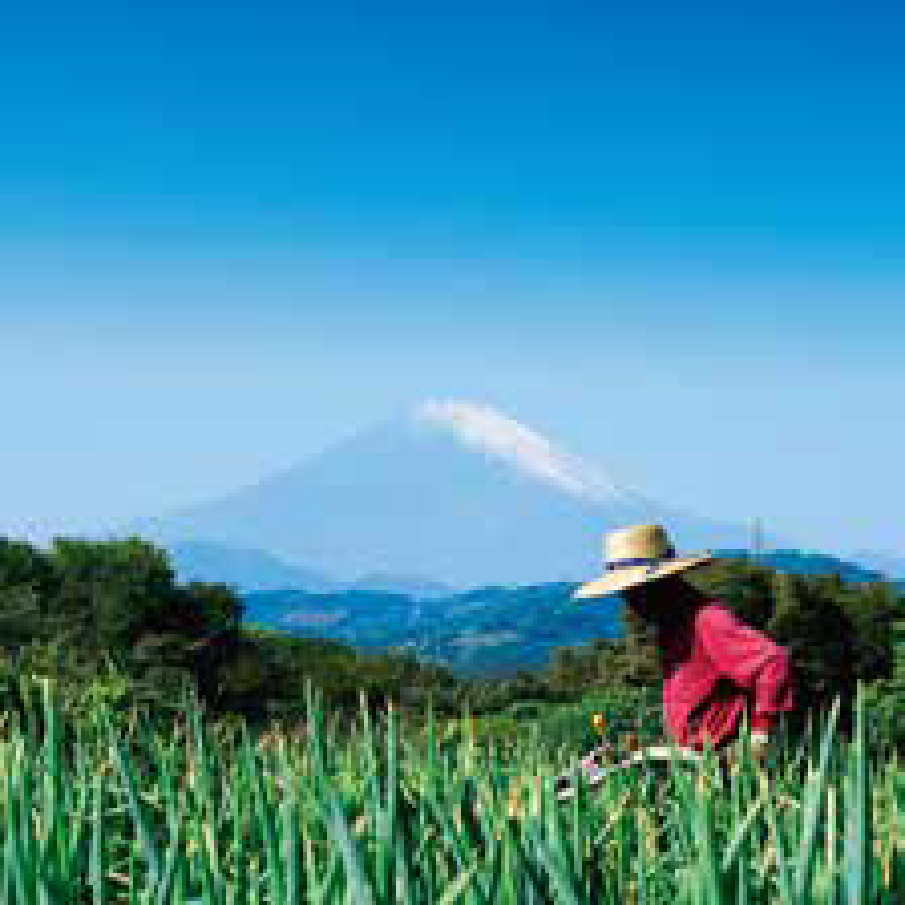 家族旅