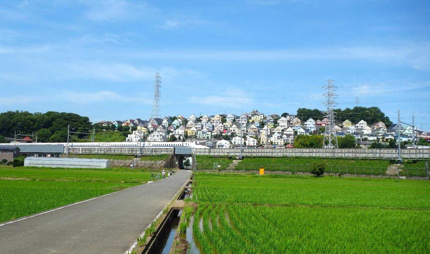 田んぼと新幹線と日向岡住宅が見える風景 /Tanaka