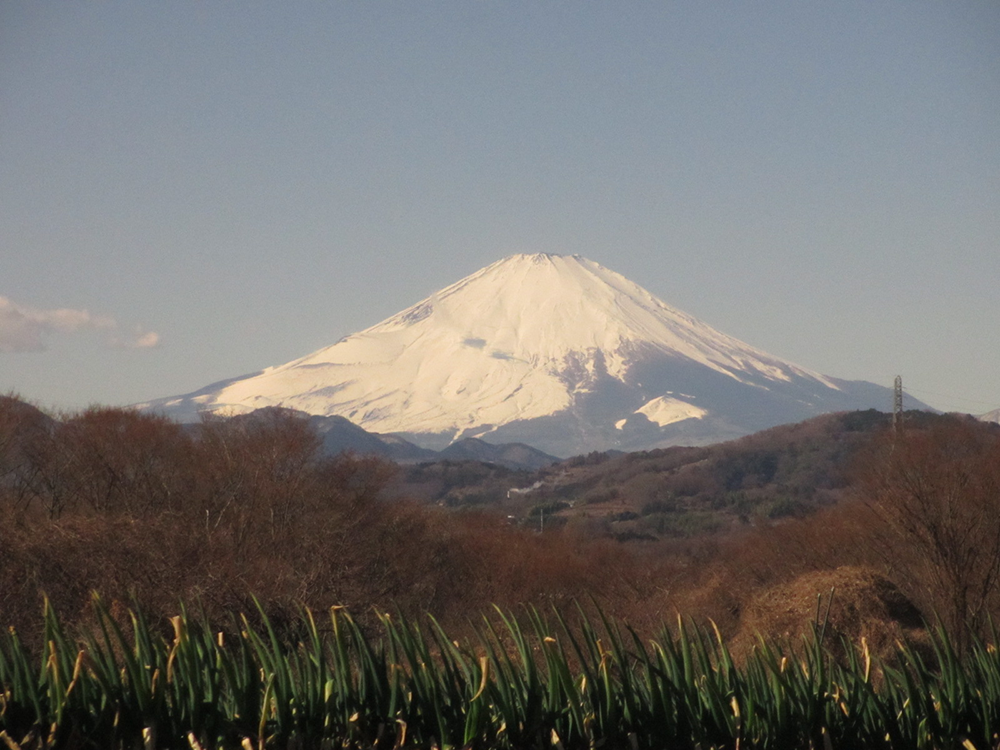 七国峠・遠藤原