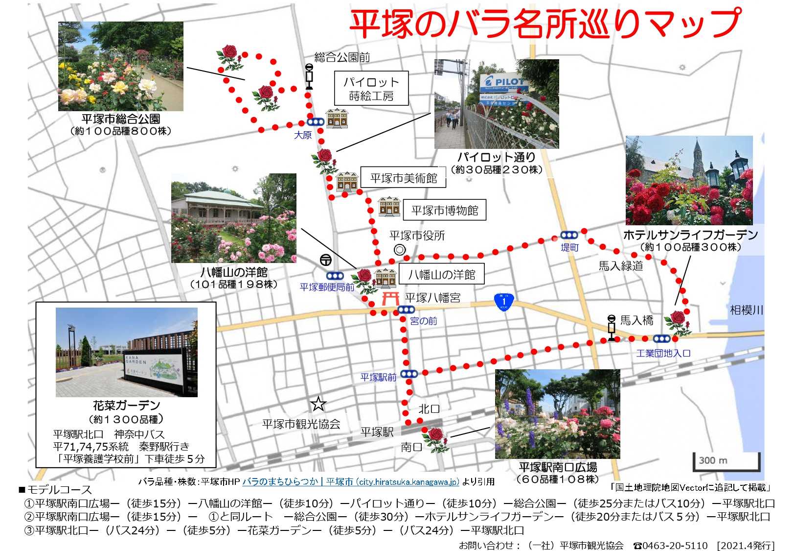 【平塚のバラ名所巡り】 /Tanaka