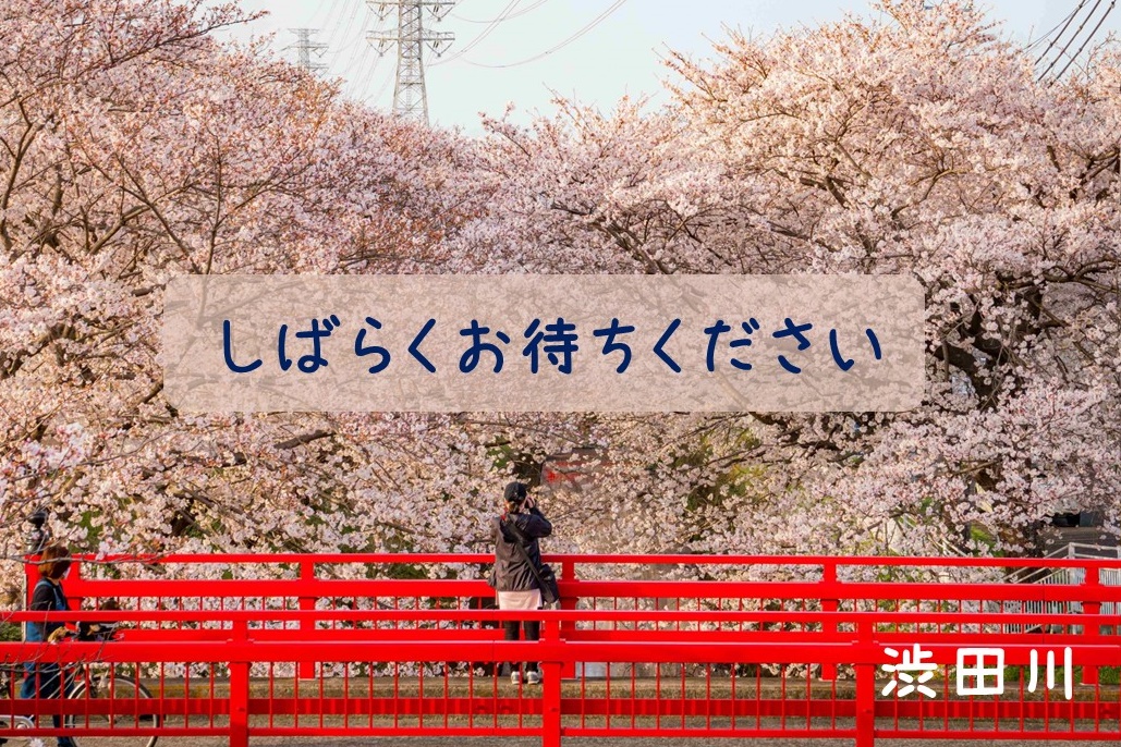 2026桜スポット開花情報