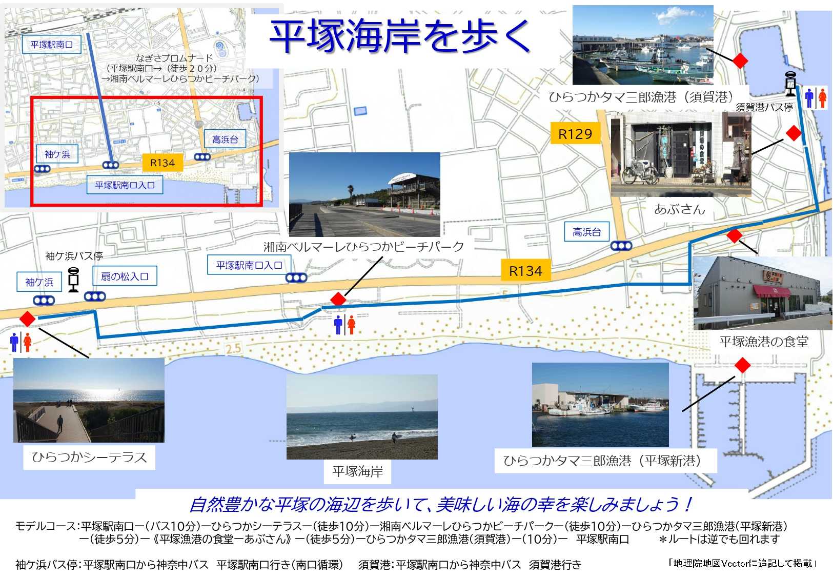 【平塚海岸を歩く】 /Tanaka