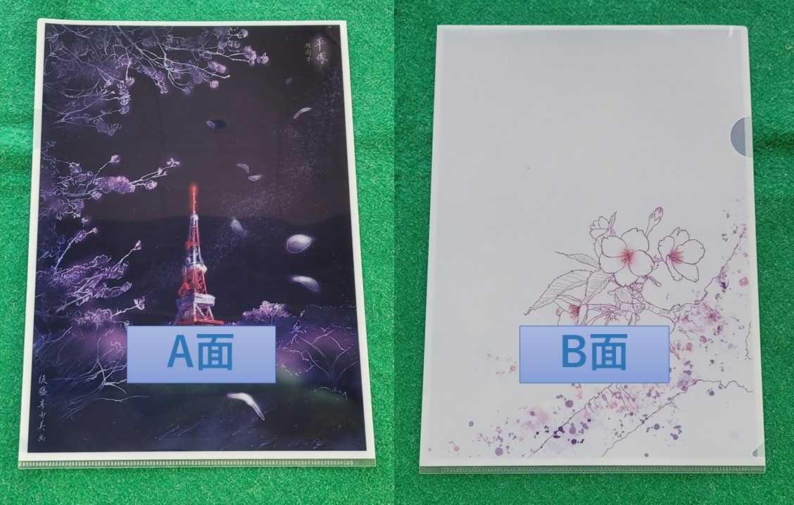 湘南平ファイル(春の夜)